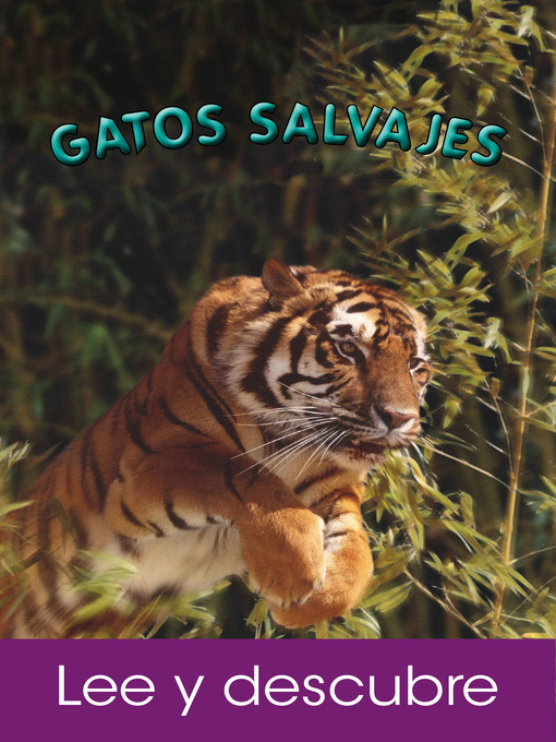 Title details for Gatos Salvajes by Janine Amos - Available